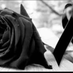 Meet your Posher, Roxana